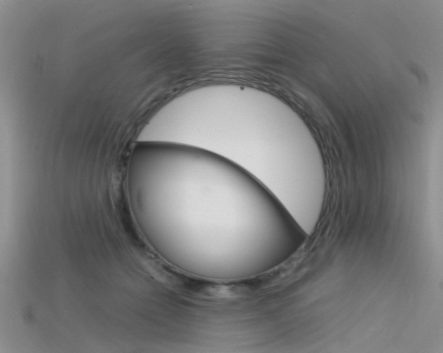 X0000115740558200911121104