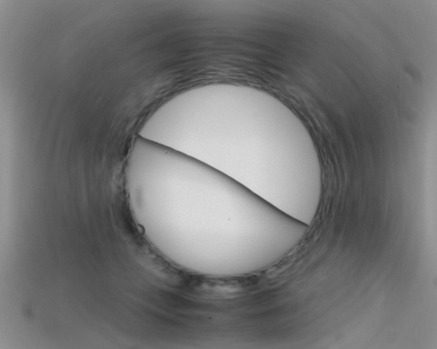 X0000115740559200911121104