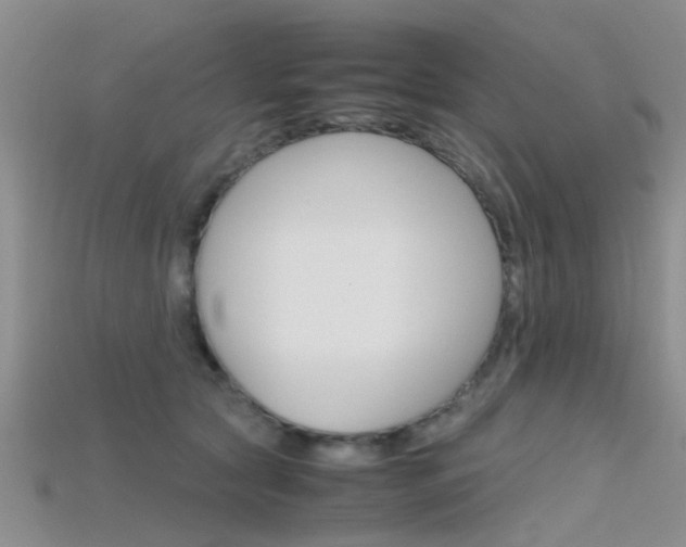 X0000115740561200911121104