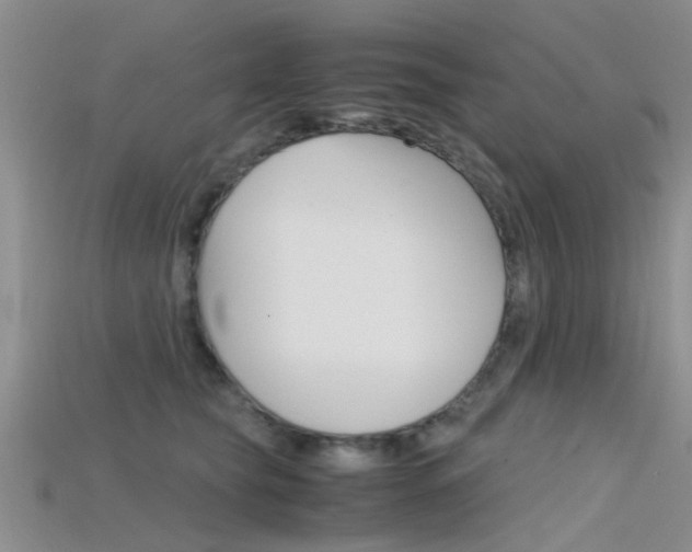 X0000115740565200911121104