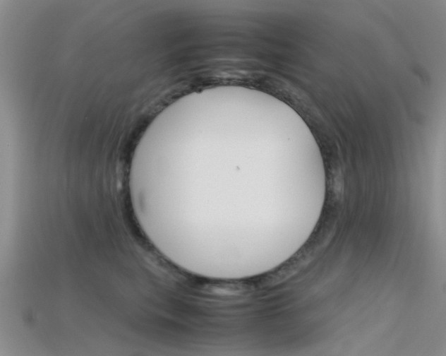 X0000115740567200911121104