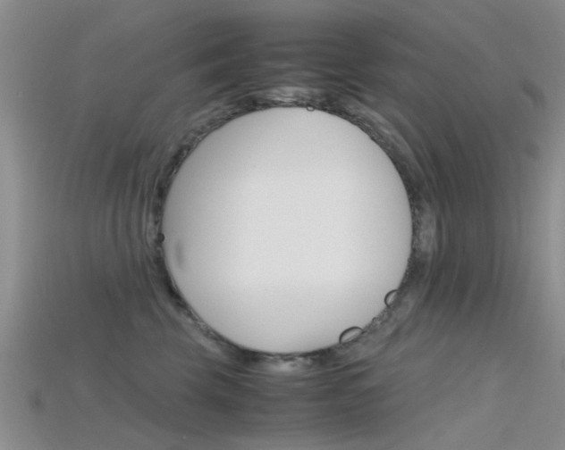 X0000115740569200911121104