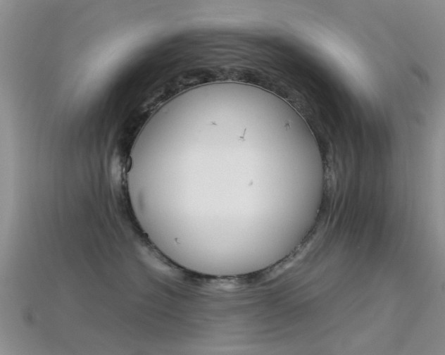 X0000115740574200911121105