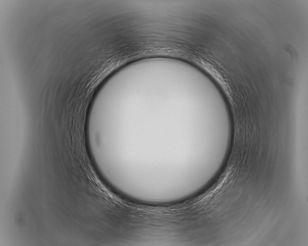 X0000115740577200911121104