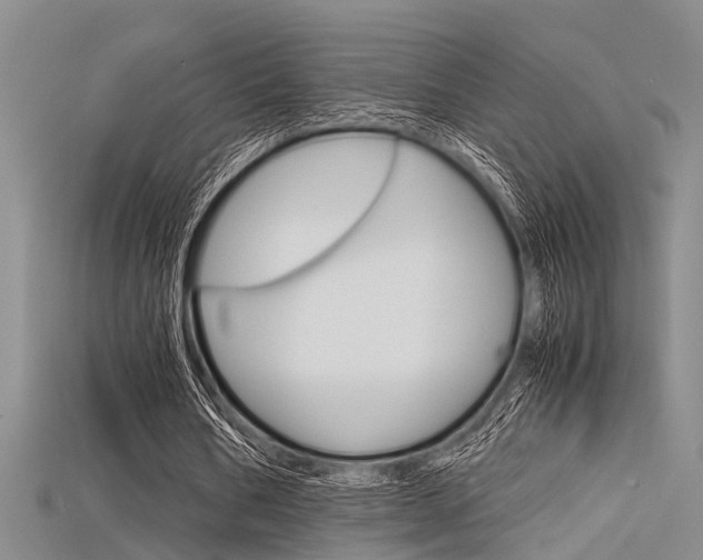 X0000115740578200911121104
