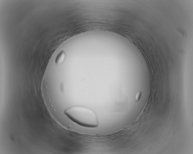 X0000115740579200911121104