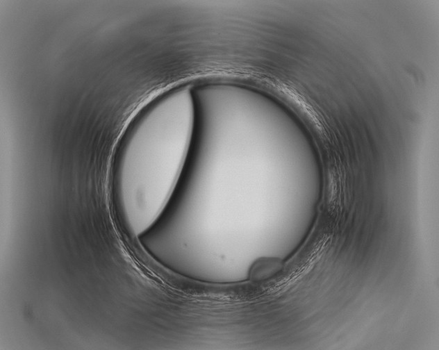 X0000115740580200911121104