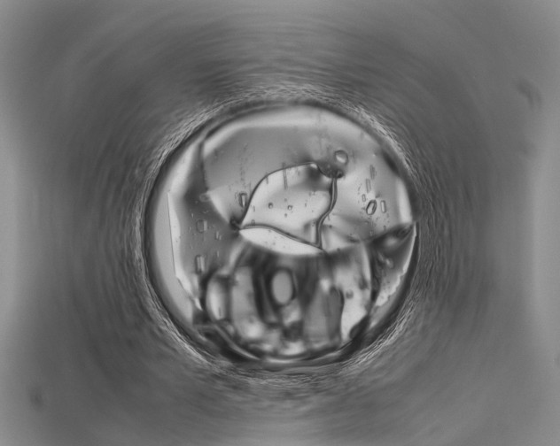 X0000115740581200911121104