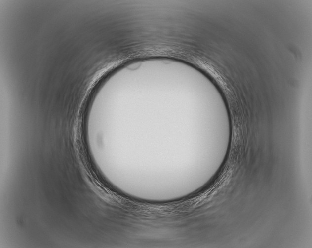 X0000115740583200911121104