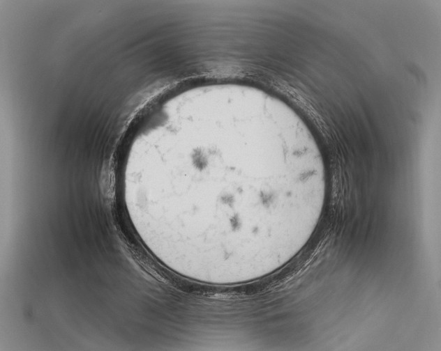 X0000115740584200911121104