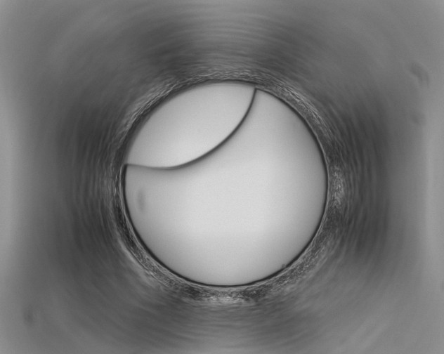 X0000115740586200911121104