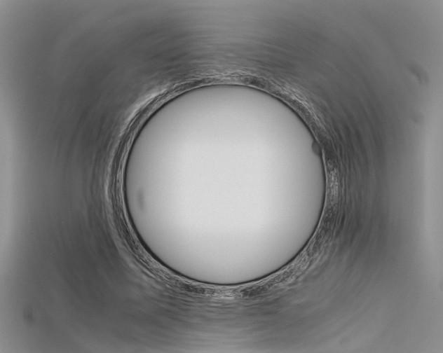 X0000115740587200911121104