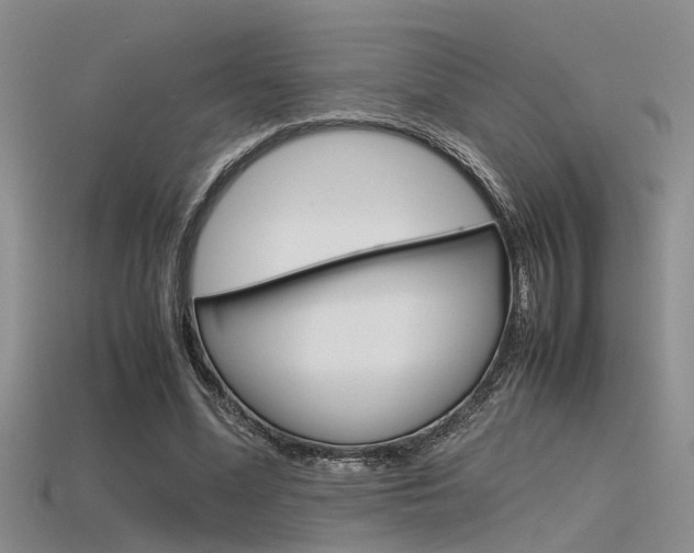 X0000115740588200911121104