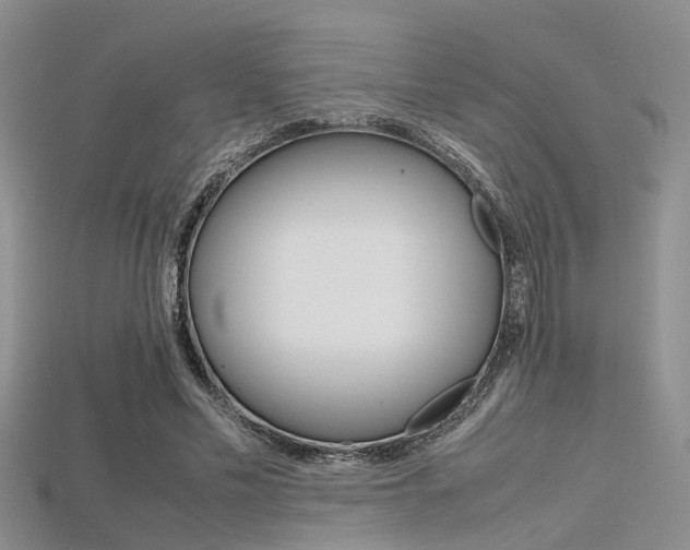 X0000115740589200911121104