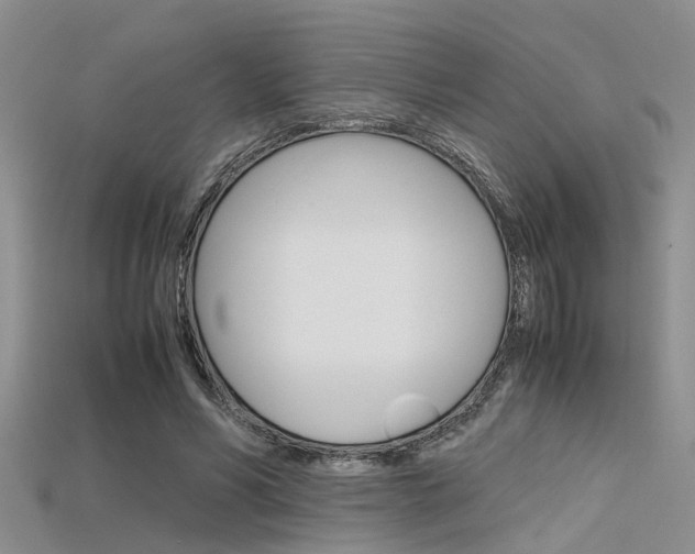 X0000115740590200911121104