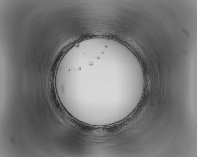 X0000115740591200911121104