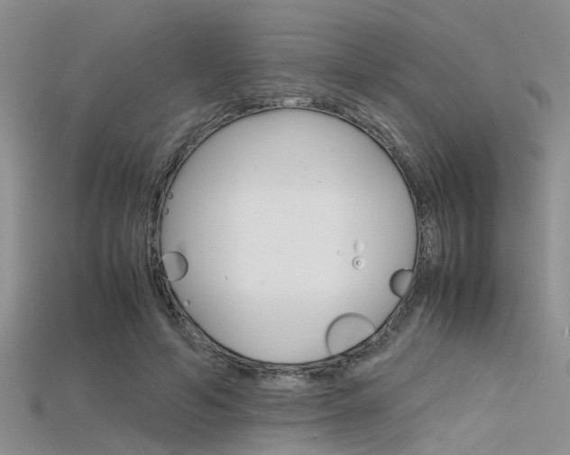 X0000115740594200911121104