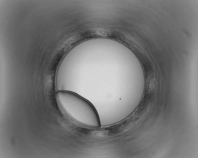 X0000115740595200911121104