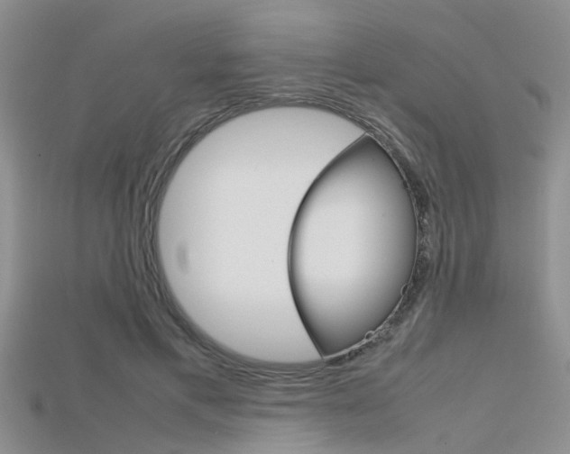 X0000115740597200911121104