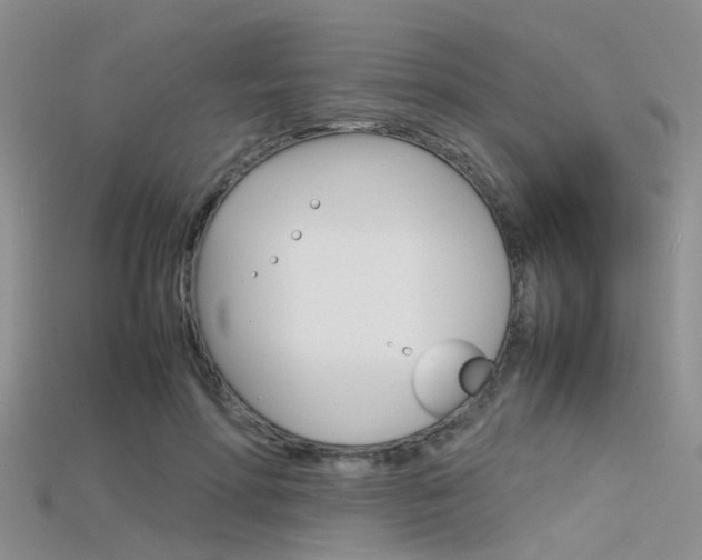 X0000115740598200911121104