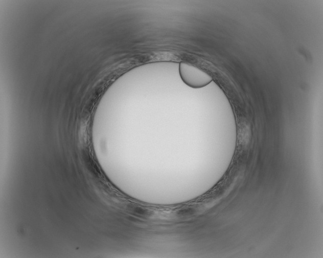 X0000115740599200911121104