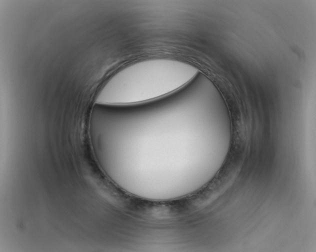 X0000115740600200911121104