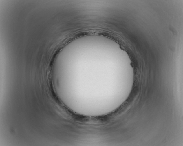 X0000115740601200911121104