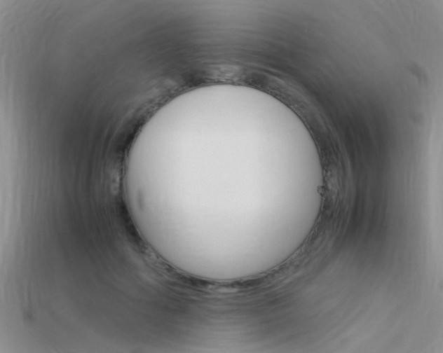 X0000115740602200911121104