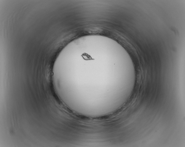X0000115740604200911121104