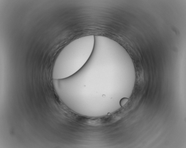 X0000115740606200911121104