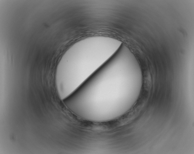 X0000115740608200911121104