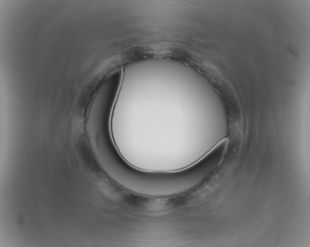 X0000115740609200911121104
