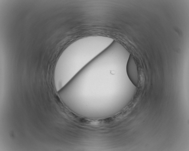 X0000115740611200911121104
