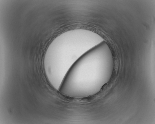 X0000115740613200911121103