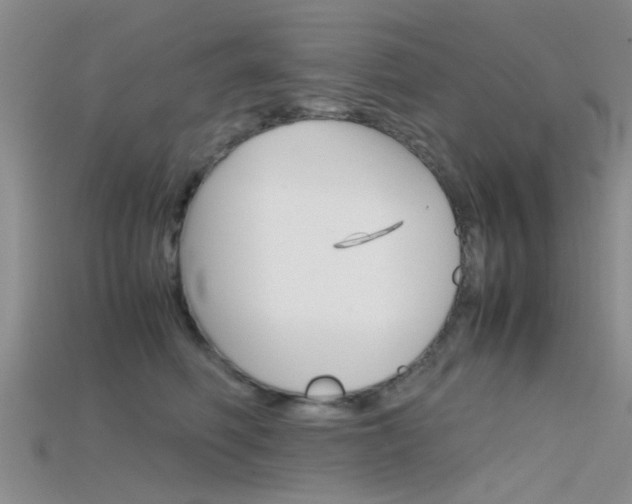 X0000115740614200911121103