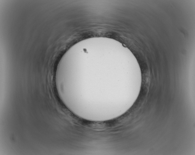 X0000115740615200911121103