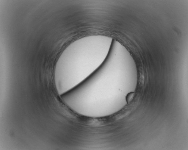 X0000115740616200911121103