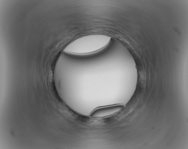 X0000115740617200911121103