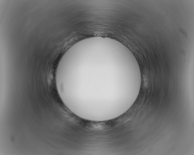 X0000115740618200911121103
