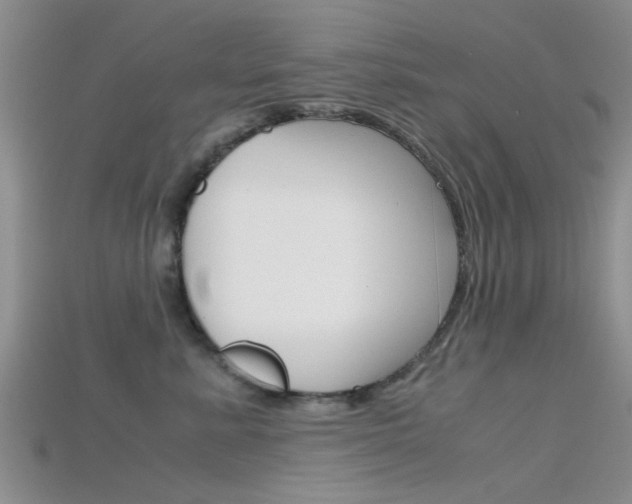 X0000115740619200911121103