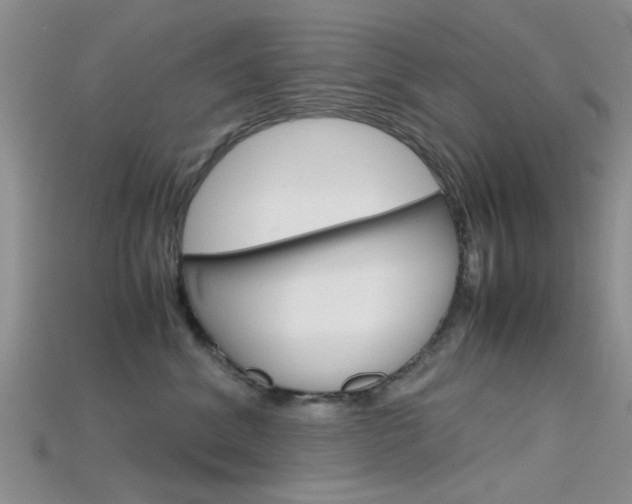 X0000115740620200911121103