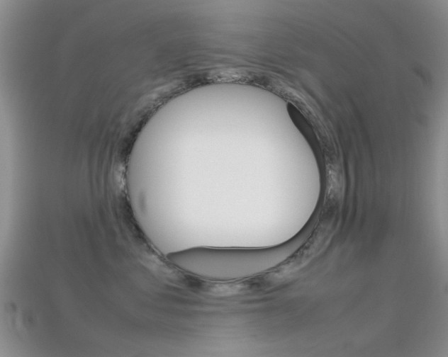 X0000115740621200911121103