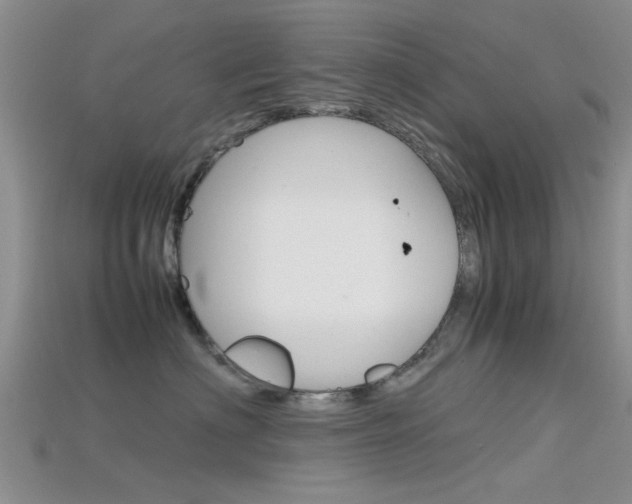X0000115740622200911121103