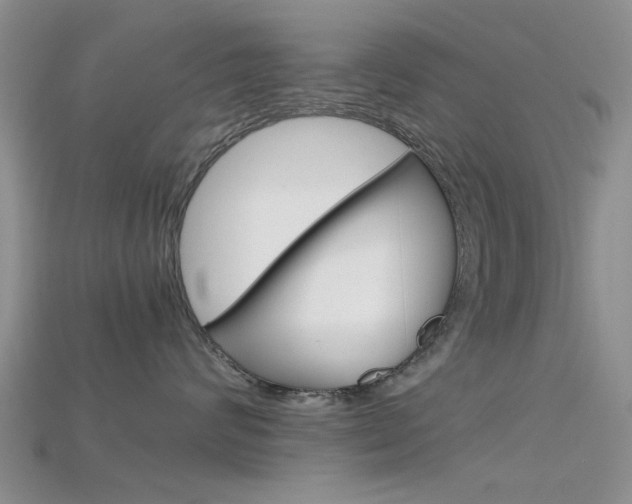 X0000115740624200911121103