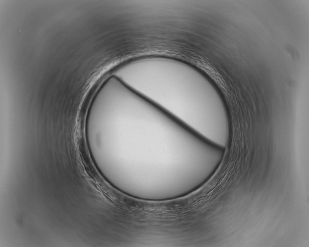 X0000115740628200911121103