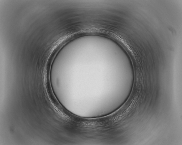 X0000115740629200911121103