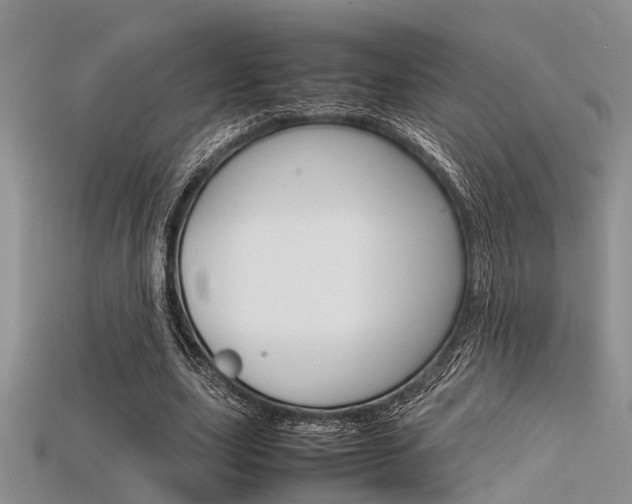 X0000115740631200911121103