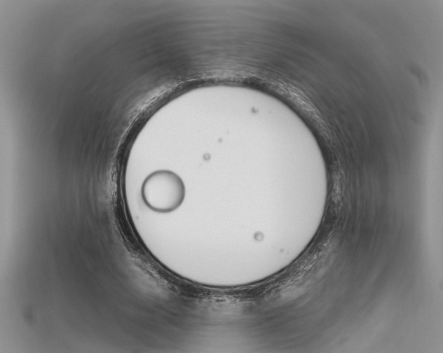 X0000115740632200911121103