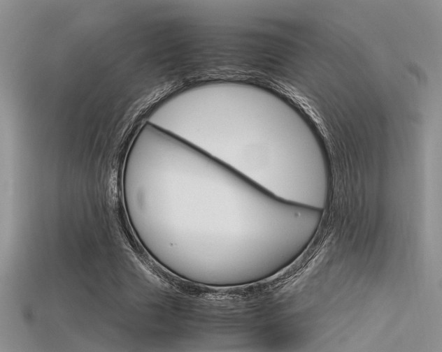 X0000115740633200911121103