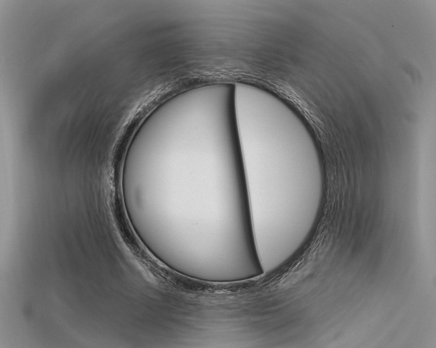 X0000115740634200911121103
